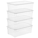 Rotho Clear 4er-Set Aufbewahrungsbox 5l mit Deckel, Kunststoff (PP) BPA-frei, transparent, 4 x 5l (33.0 x 19.0 x 11.0 cm)