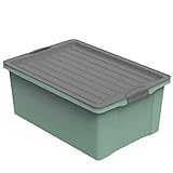 Rotho Compact Aufbewahrungsbox 38l mit Deckel, Kunststoff (PP recycelt) BPA-frei, grün/anthrazit, A3/38l (57.0 x 40.0 x 25.0 cm)