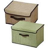 Aufbewahrungsbox mit Deckel, Storage Boxes mit Griffen, Boxen Aufbewahrung 2er Set, 27 x 20 x 16 cm, Organizer Box, Kisten Aufbewahrung mit Deckel, Ordnungsboxen für Schrank, Kleidung (Mischfarbe)